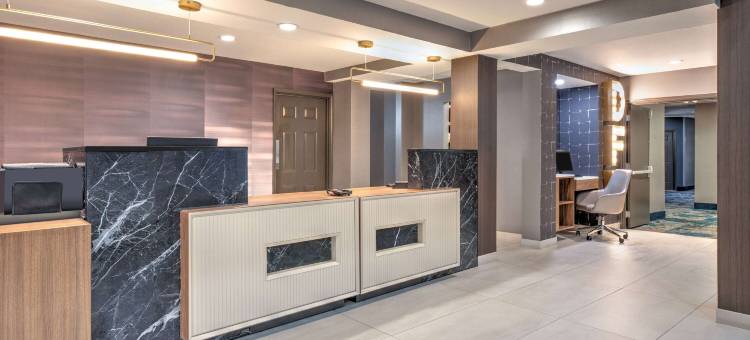 达拉斯DFW机场北拉昆塔温德姆套房酒店(La Quinta Inn & Suites by Wyndham Dallas DFW Airport North)图片