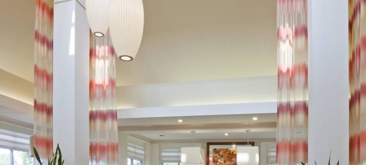 希尔顿花园明尼阿波利斯圣保罗肖尔维尤酒店(Hilton Garden Inn Minneapolis St. Paul-Shoreview)图片