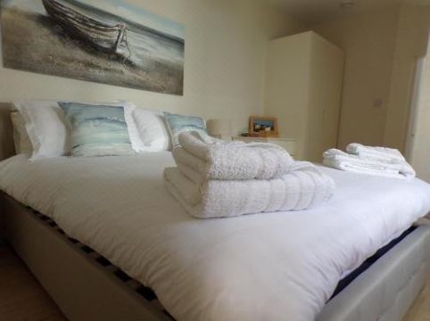 3TheDome - Luxury Ground Floor Apartment Opposite the Beach, Barton on SeaHotel Overview
