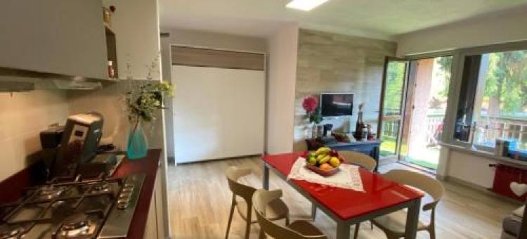 The Little Nest图片