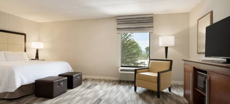 希尔顿欢朋酒店-利哈伊顿詹姆索普(Hampton Inn Lehighton-Jim Thorpe)图片