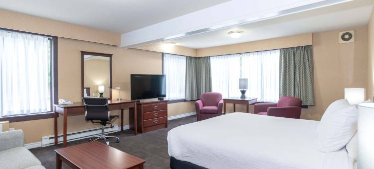 卡斯尔加桑德曼酒店(Sandman Hotel Castlegar)图片