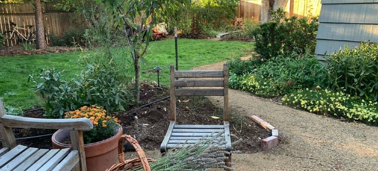 Hillcrest Nest图片