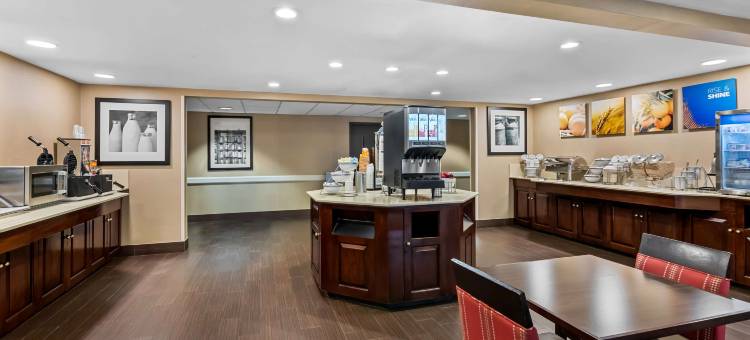 萨默塞特新不伦瑞克舒适套房酒店(Comfort Inn & Suites Somerset - New Brunswick)图片