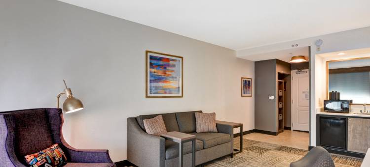 摩拜尔东湾/代弗尼希尔顿花园酒店(Hilton Garden Inn Mobile East Bay/Daphne)图片