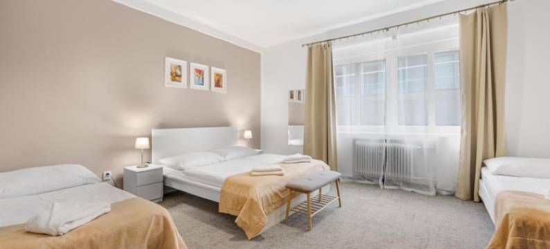 佩蒂特高级旅馆(Pension Petit)图片