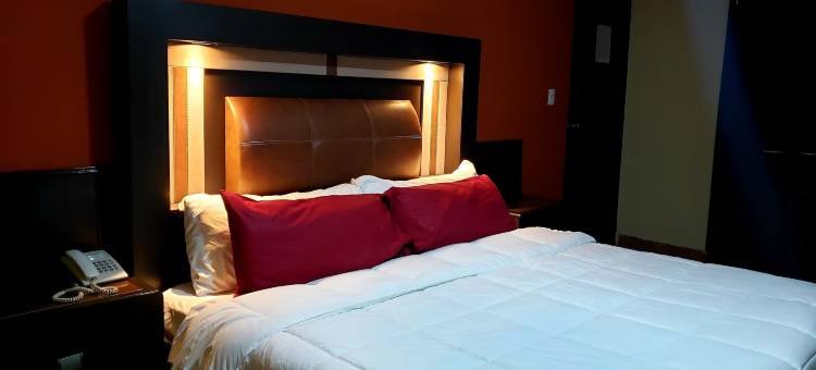 穆里略广场酒店(Hotel Murillo Plaza)图片