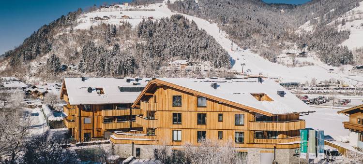 策尔湖贝斯特韦斯特品质精选酒店(Elements Resort Zell am See, BW Signature Collection)图片