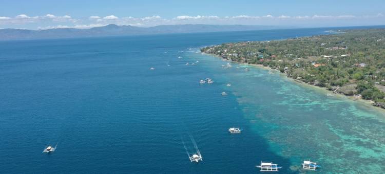 Cocotel奥斯洛布新村庄酒店(Oslob New Village Lodge by Cocotel)图片