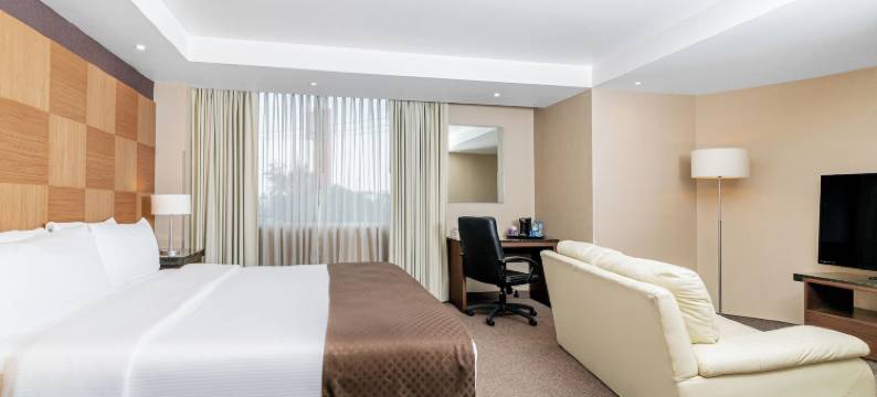 墨西哥城克里斯塔尔城市酒店(Krystal Urban Aeropuerto Ciudad de Mexico)图片