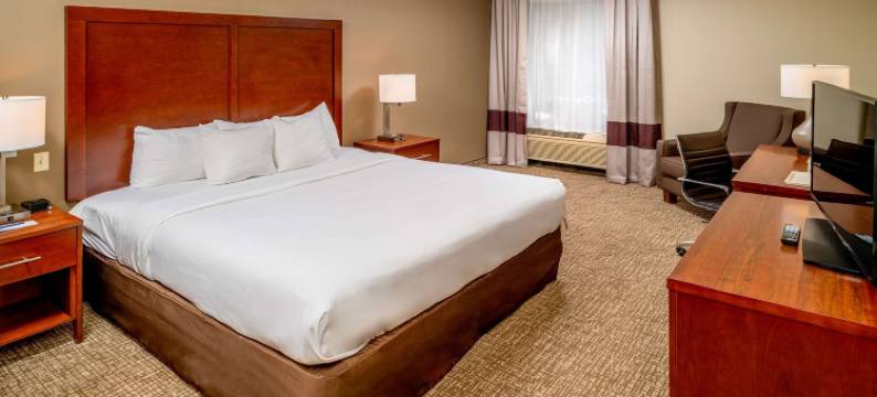 格伦迪舒适酒店及套房(Comfort Inn & Suites)图片