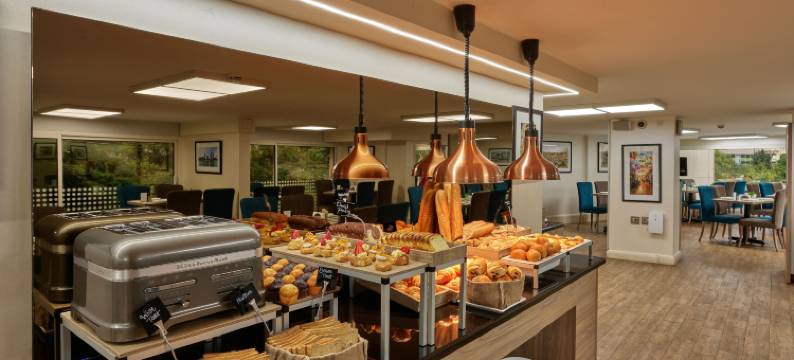 索迪科套房酒店(Sodeco Suites)图片