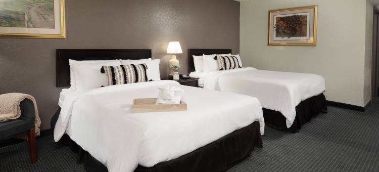 仙人掌海湾酒店套房(Cactus Cove Inn and Suites)图片