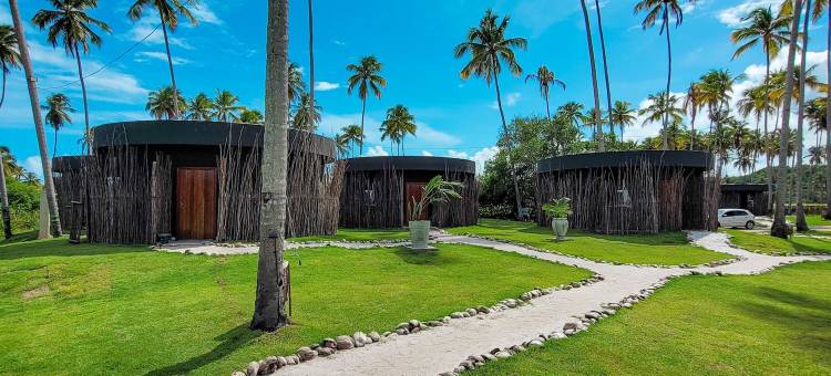 Taboo Milagres图片