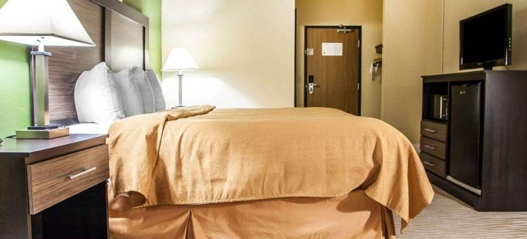 凯艺套房酒店(Quality Inn & Suites)图片