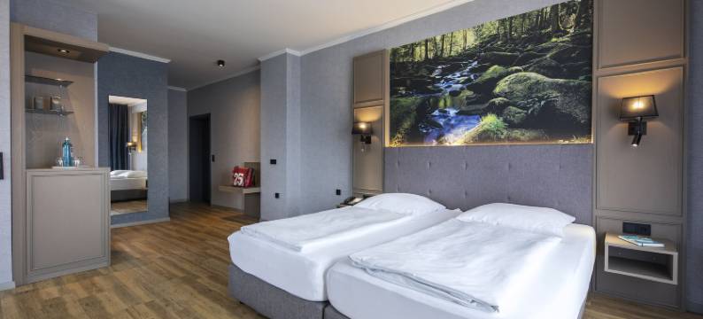 沃尔德基兴浴园酒店(Hotel am Badepark Waldkirchen)图片