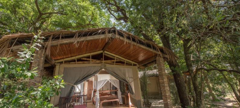 马赛马拉无花果树露营地酒店(Fig Tree Camp - Maasai Mara)图片