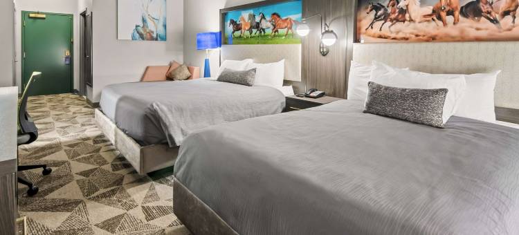 Big Country Hotel & Suites, SureStay Collection by BW图片