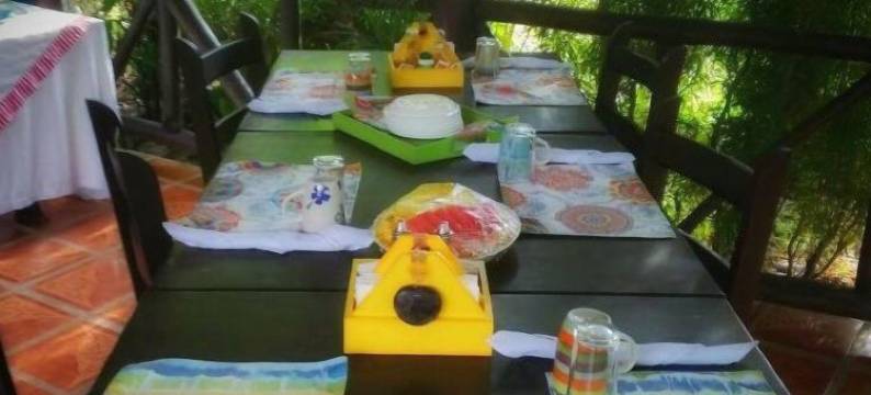 唐加拉阿雷纳尔酒店(Hotel Tangara Arenal)图片