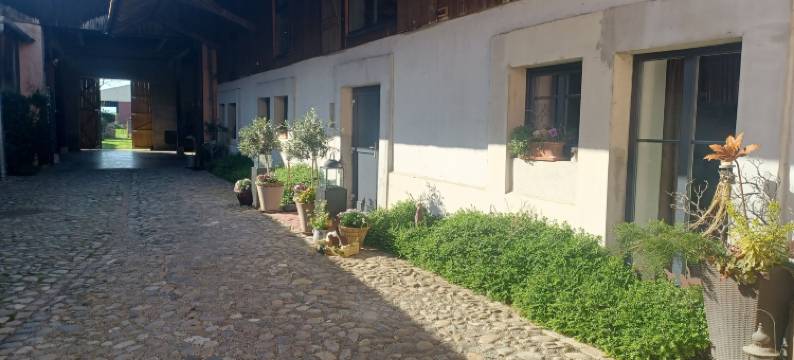 比什维尔科尔马(Coté Cour Bischwihr Colmar)图片