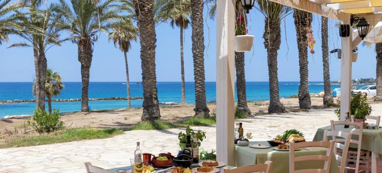 帕福斯金星海滩酒店(Venus Beach Hotel)图片