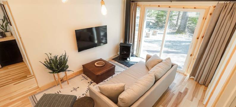 雷克斯酒店(The Rex)图片