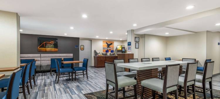 贝斯特韦斯特亚特兰大玛丽埃塔球场酒店(Best Western Atlanta-Marietta Ballpark Hotel)图片