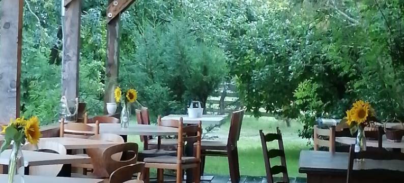 卡罗瑞农场(Ferme du Caroire)图片