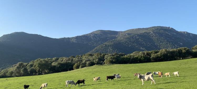 Machja领域(Domaine Machja)图片