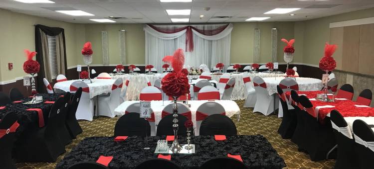 巴特尔克里克品质酒店(Country Inn & Suites by Radisson, Battle Creek, MI)图片