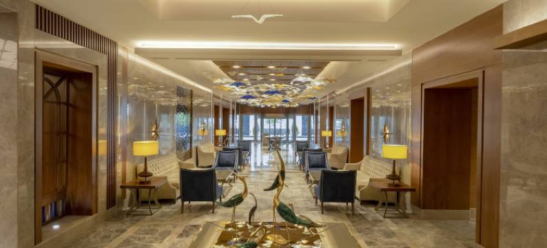瑞享温泉水疗酒店(Mövenpick Bursa Hotel and Thermal Spa)图片