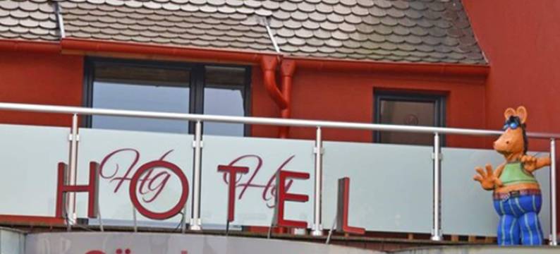 金茨堡城市酒店(Günzburg City)图片