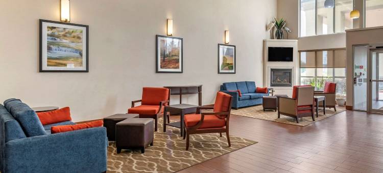 北部舒适套房酒店(Comfort Suites North)图片