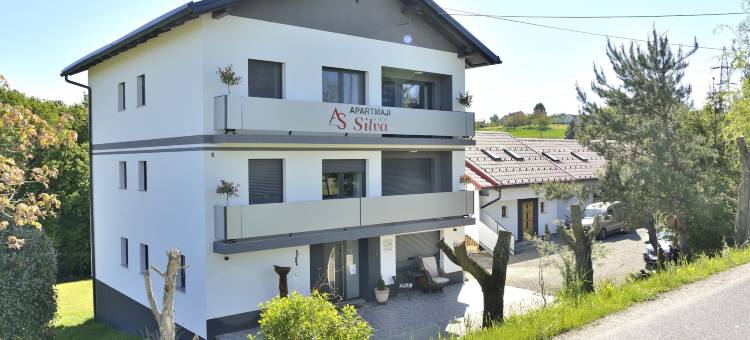 席尔瓦索托平房公寓酒店(Apartments Silva)图片