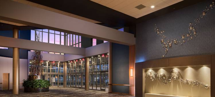 达拉斯弗赖拉辛希尔顿安泊水疗酒店&会议中心(Embassy Suites by Hilton Dallas Frisco Hotel & Convention Center)图片