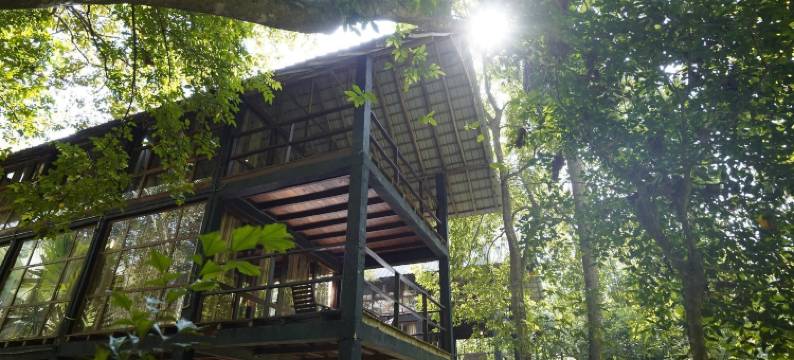 克里奥艾拉度假村(Clio Ella Resort)图片