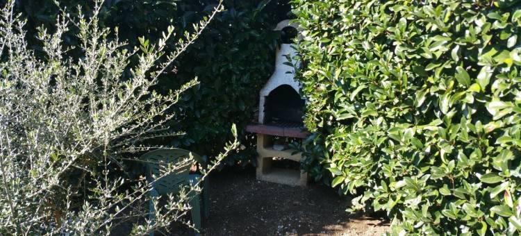 托雷弗拉维亚露天博物馆农家乐(Agriturismo Torre Flavia)图片