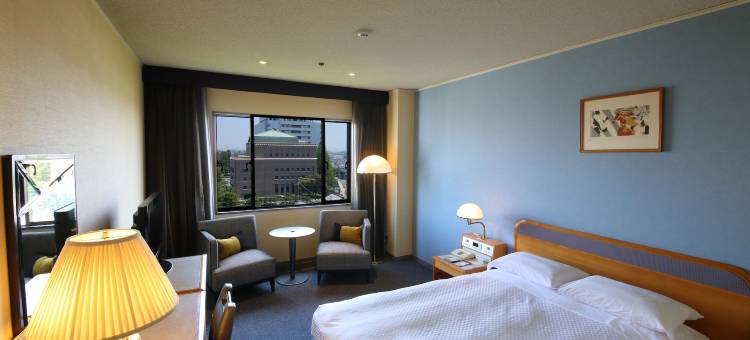 佐贺新大谷酒店(Hotel New Otani Saga)图片