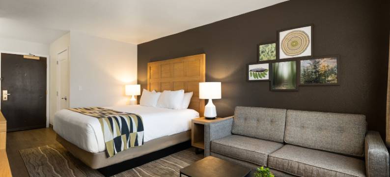 雷丁牛津套房酒店(Oxford Suites Redding)图片