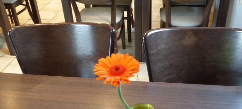 科博尔酒店(Hotel Pension Köberl)图片