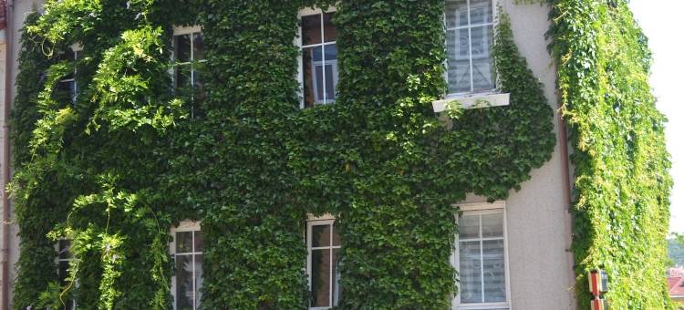 马赫帕奔史图民宿(Pension Mahrets Puppenstube)图片