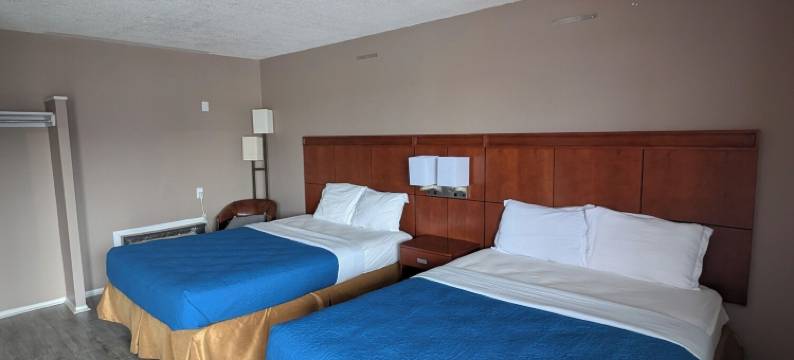 住 7 晚酒店(7 Nights Stay)图片