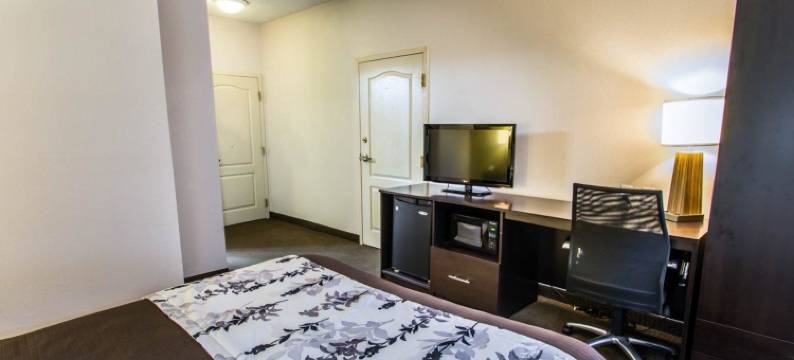 PGA村舒眠酒店(Sleep Inn at PGA Village)图片