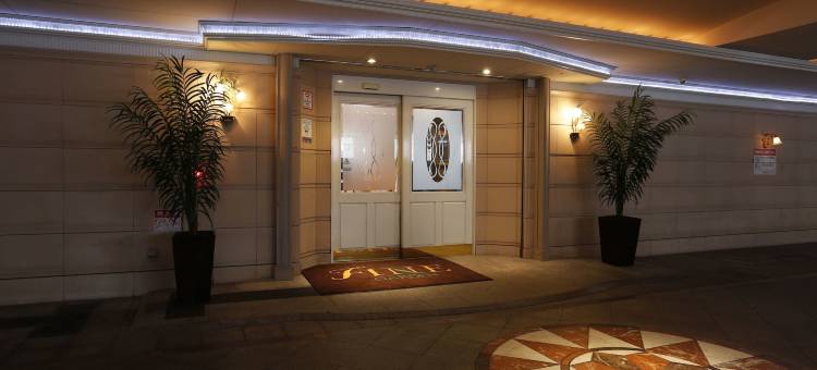 琵琶湖芬酒店-免费停车(Hotel Fine Biwako I)图片