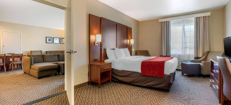戈尔特-北洛迪舒适酒店(Comfort Inn & Suites Galt - Lodi North)图片
