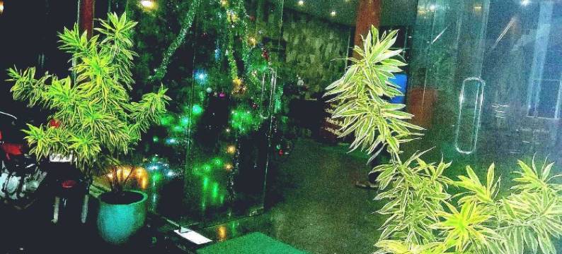 雄狮自然酒店(Hotel Lion Nature)图片