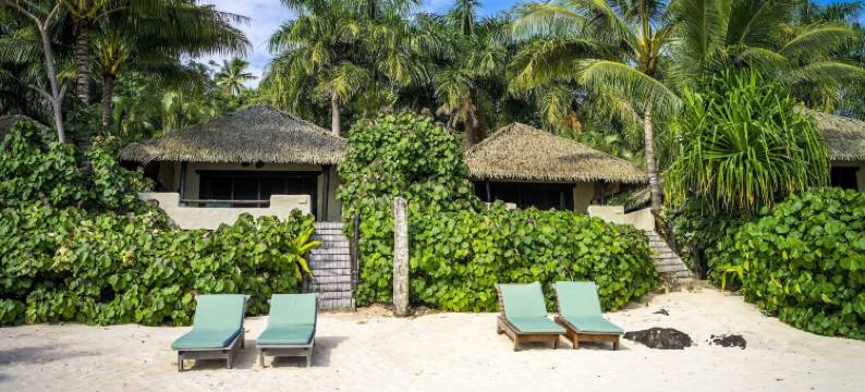 埃图塔基太平洋度假村(Pacific Resort Aitutaki - Adults Only)图片