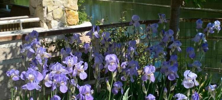 里弗斯岛屿酒店(Les Rives de l'Isle)图片