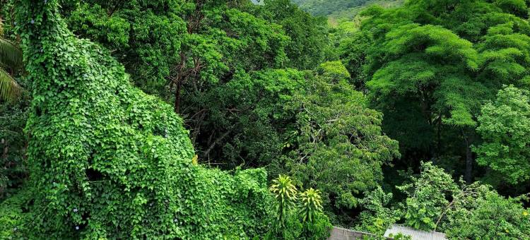 阶梯住宿加早餐旅馆(Hotel la Escalinata)图片