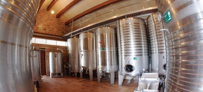 拉加尔得科斯塔葡萄酒旅游酒店(Enoturismo Lagar de Costa)图片